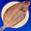 Whole Lemon Sole